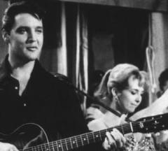 Teri in Roustabout